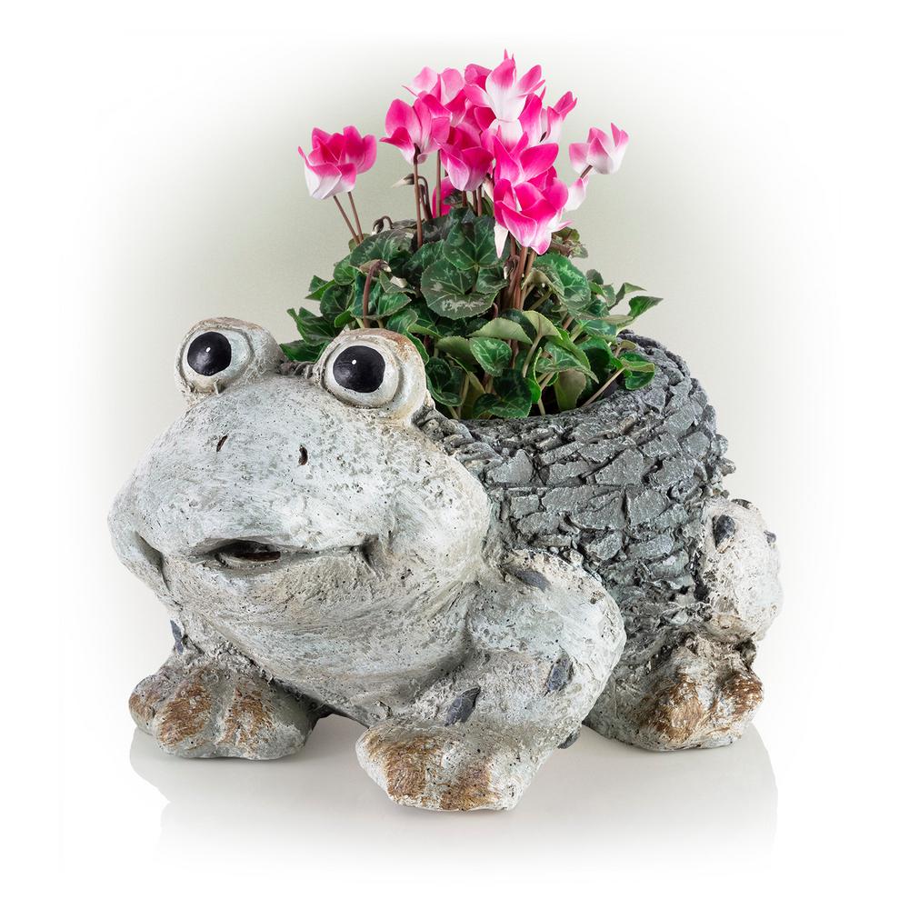 Frog Garden Planter