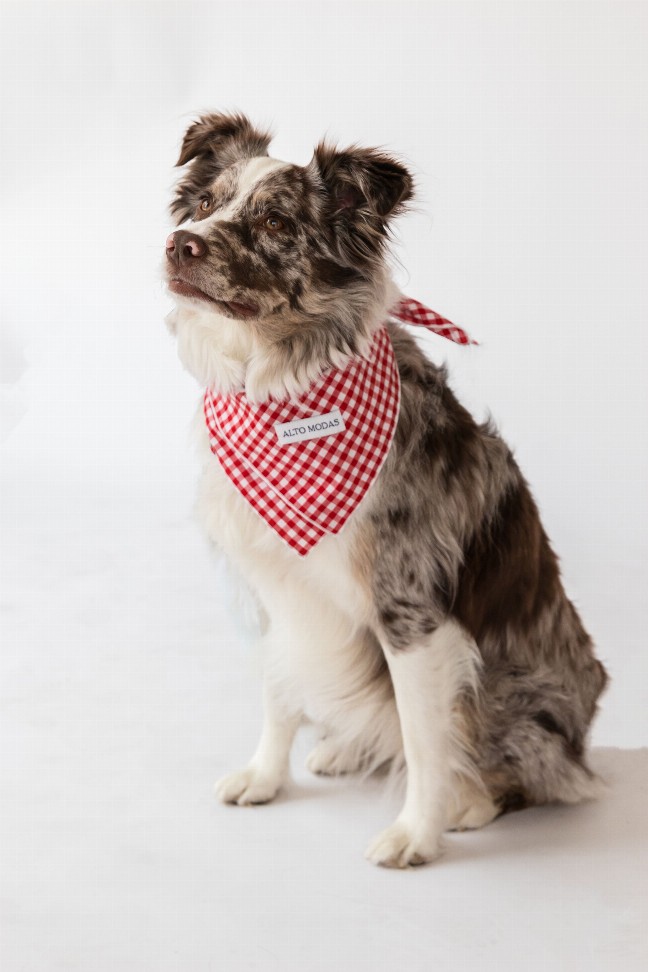 Buddy Dog Bandana - L Red Gingham