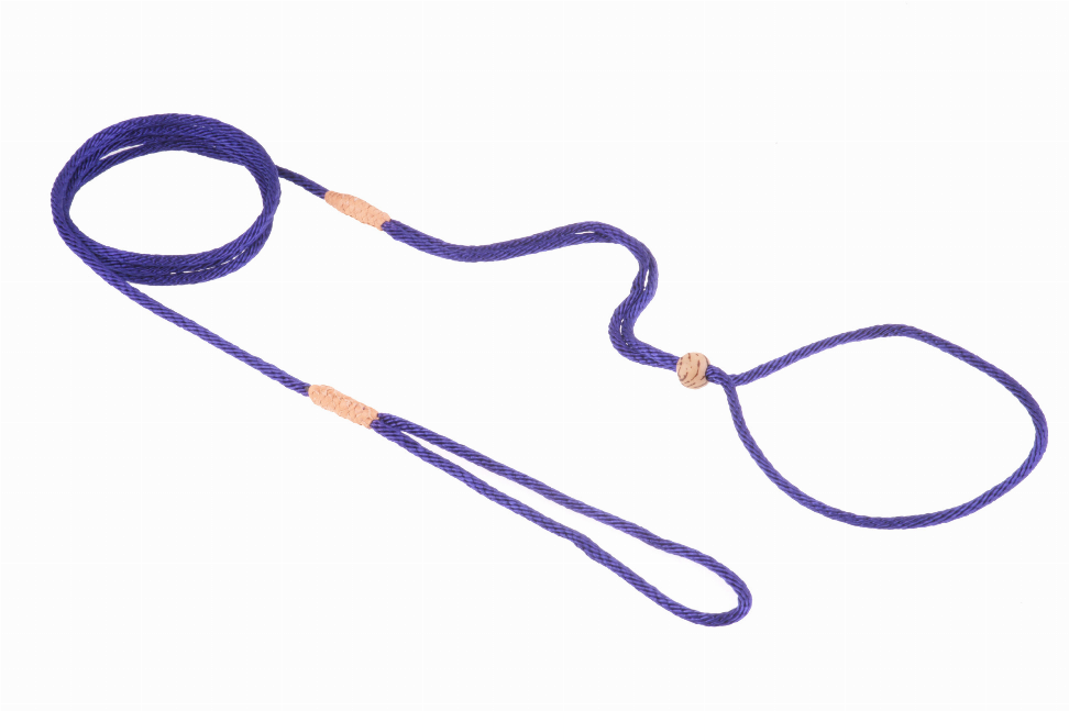 Alvalley Nylon Adjustable Loop Lead - 52in x 1/16 or 2 mmPurple