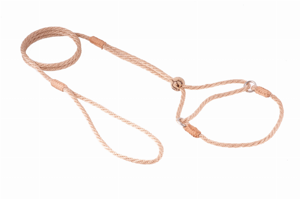 Alvalley Nylon Martingale Leads - 8in x 1/8in or 4mmBeige