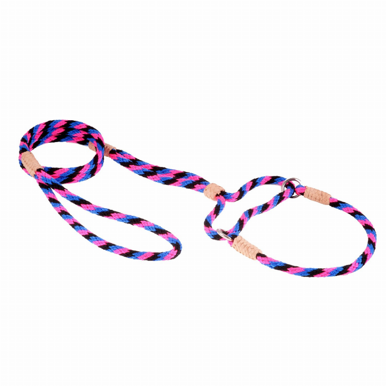 Alvalley Nylon Martingale Leads - 10in x 1/4in or 6mmBlack - Pink - Blue
