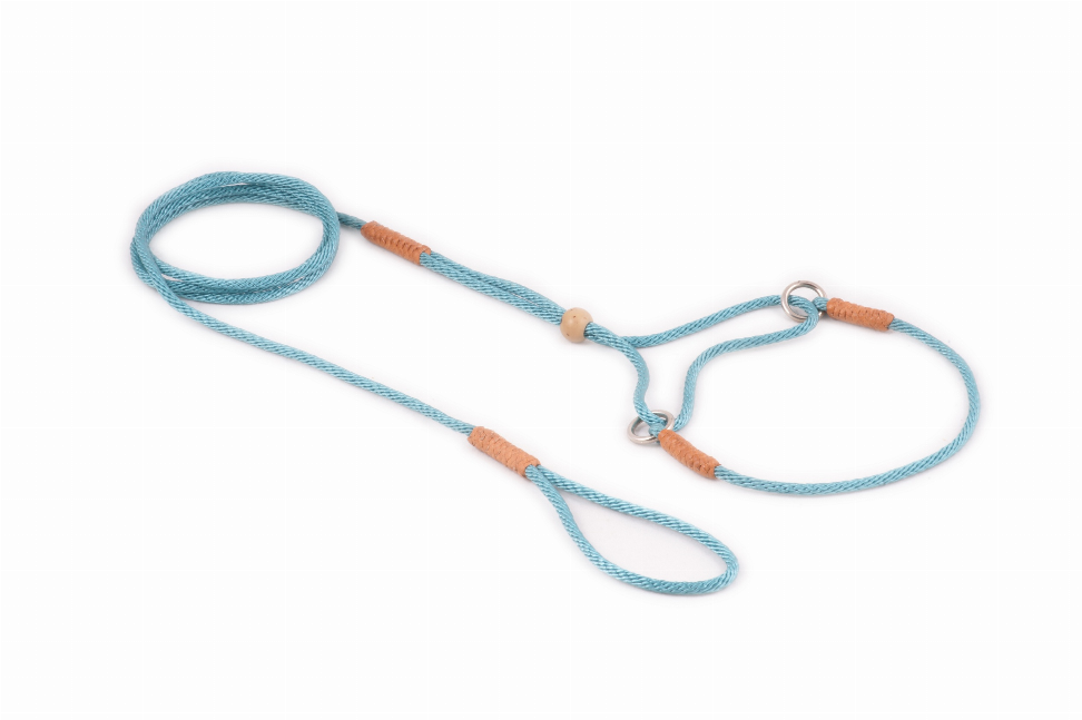 Alvalley Nylon Martingale Leads - 8in x 1/16 or 2 mmTeal Green