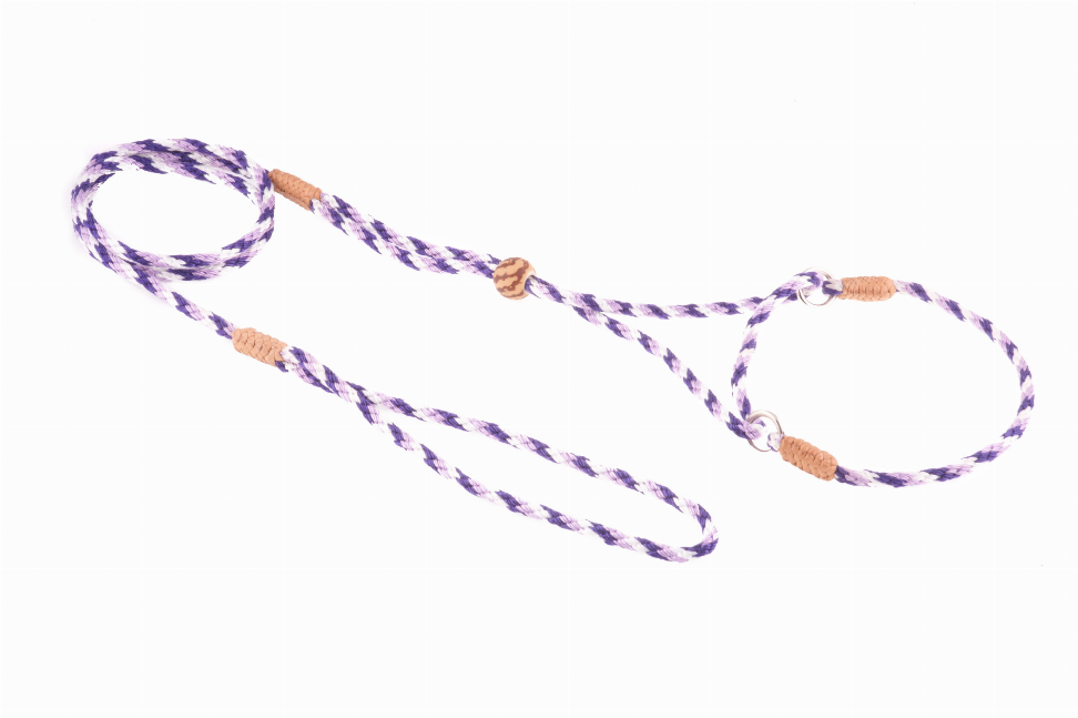 Alvalley Nylon Martingale Leads - 8in x 1/8in or 4mmPurple Combination