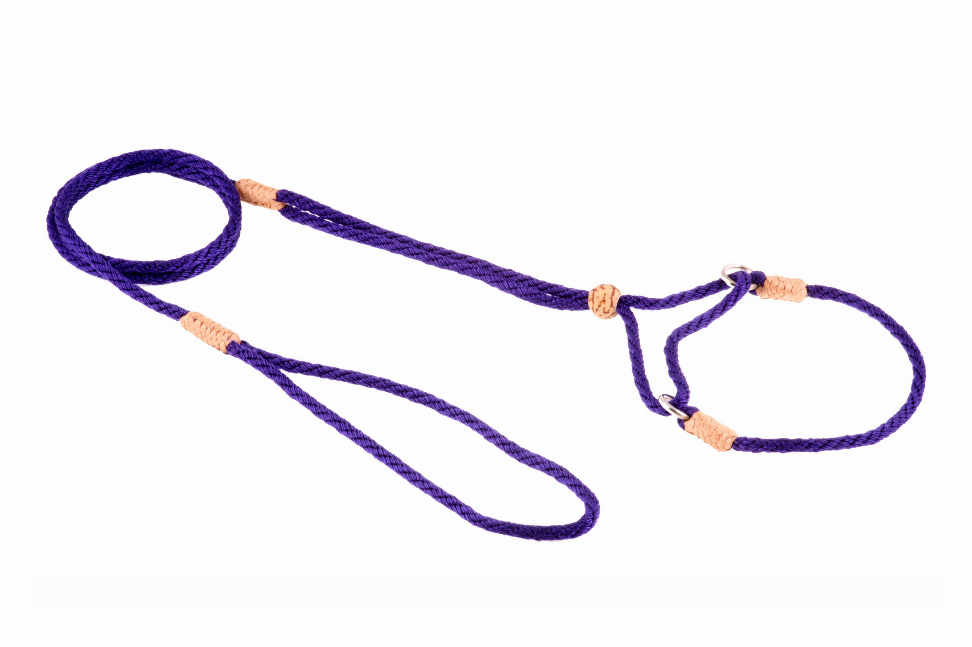 Alvalley Nylon Martingale Leads - 8in x 1/8in or 4mmPurple