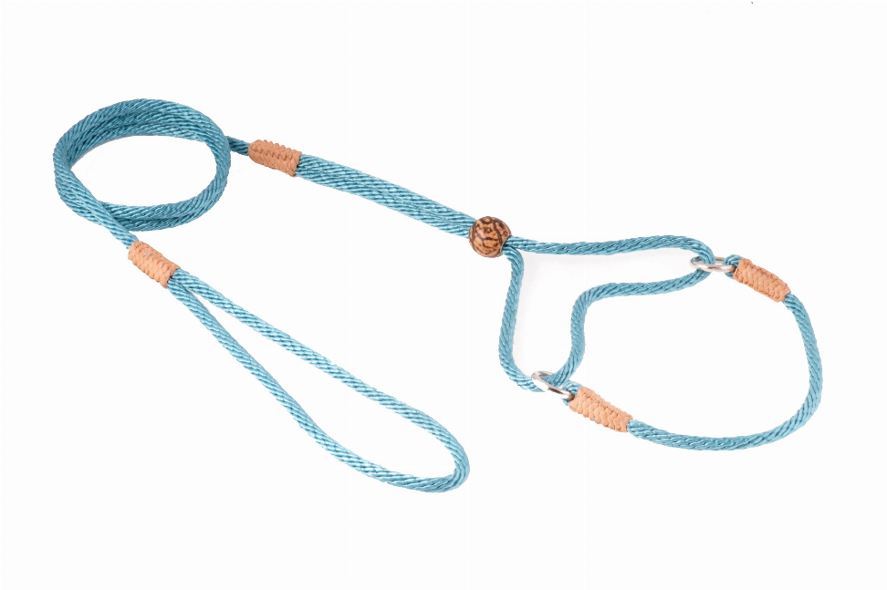 Alvalley Nylon Martingale Leads - 8in x 1/8in or 4mmTeal Green