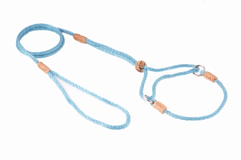 Alvalley Nylon Martingale Leads - 8in x 1/8in or 4mmSky Blue