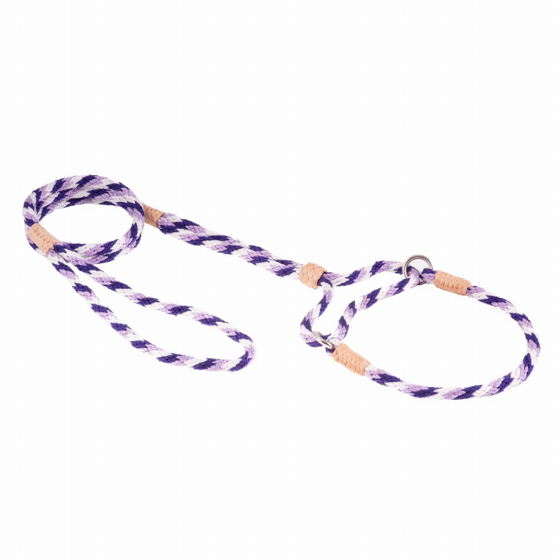 Alvalley Nylon Martingale Leads - 10in x 1/4in or 6mmPurple Combination