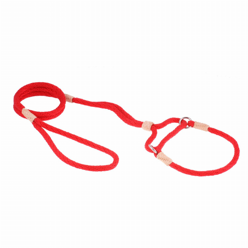 Alvalley Nylon Martingale Leads - 10in x 1/4in or 6mmRed