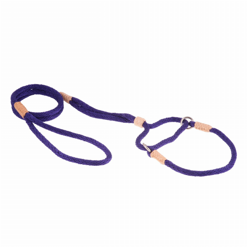 Alvalley Nylon Martingale Leads - 10in x 1/4in or 6mmPurple