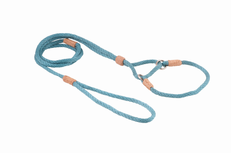 Alvalley Nylon Martingale Leads - 10in x 1/4in or 6mmTeal Green