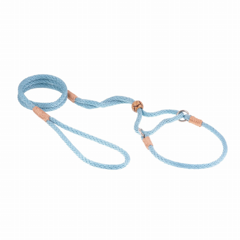 Alvalley Nylon Martingale Leads - 10in x 1/4in or 6mmSky Blue