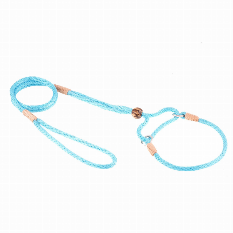 Alvalley Nylon Martingale Leads - 10in x 1/4in or 6mmTurquoise