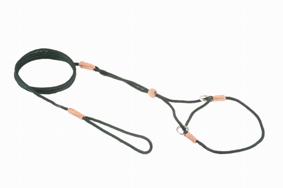 Alvalley Nylon Martingale Leads - 8in x 1/16 or 2 mmHunter Green