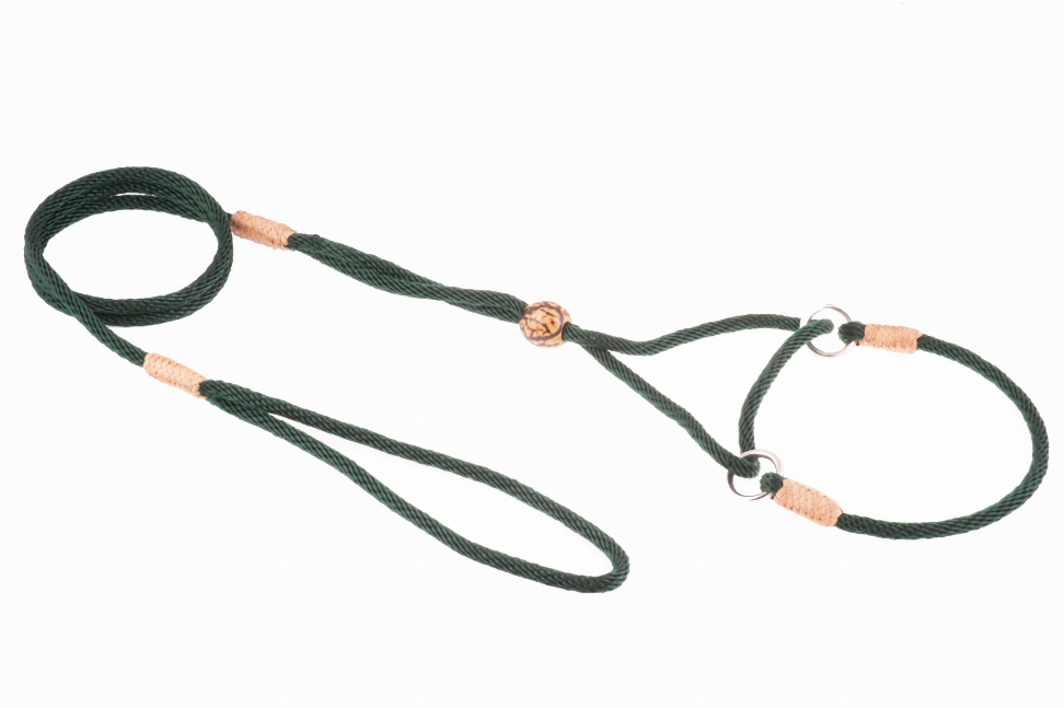 Alvalley Nylon Martingale Leads - 8in x 1/8in or 4mmHunter Green
