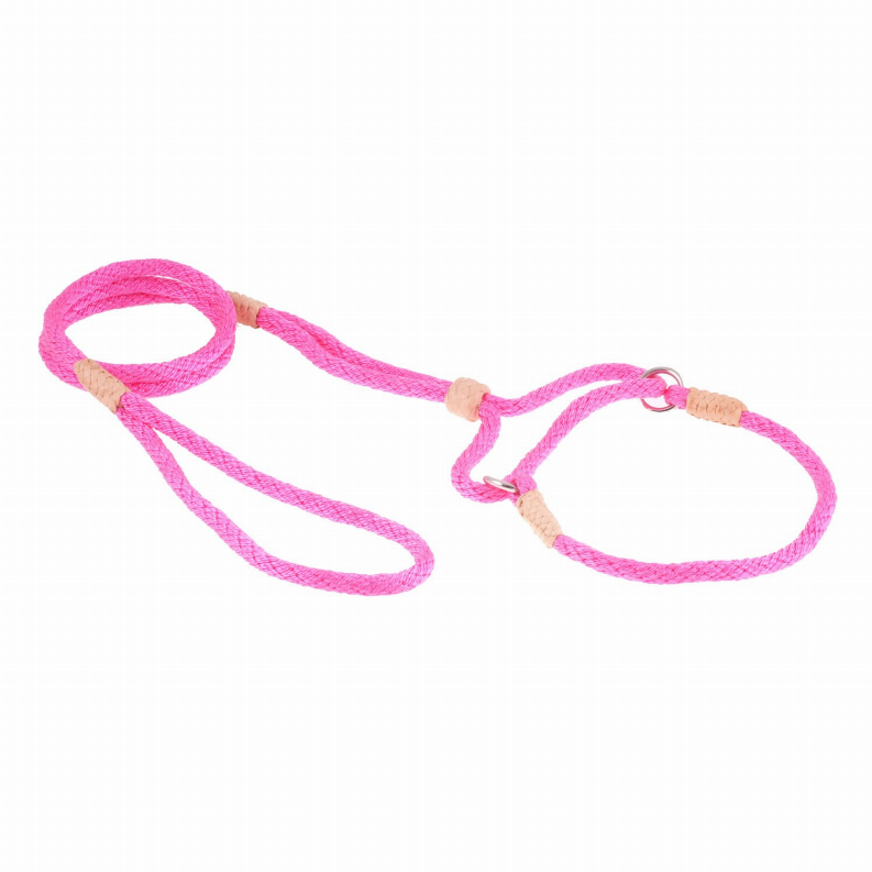 Alvalley Nylon Martingale Leads - 10in x 1/4in or 6mmHot Pink