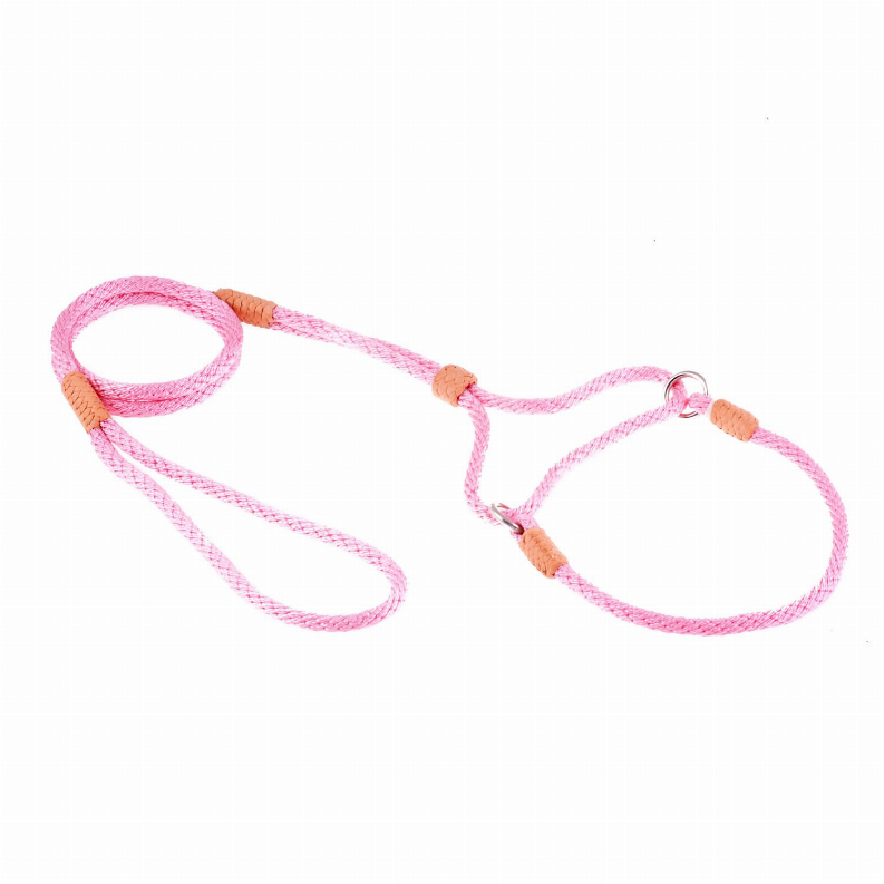 Alvalley Nylon Martingale Leads - 10in x 1/4in or 6mmPastel Pink