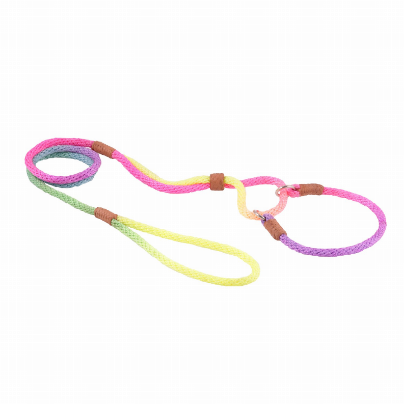 Alvalley Nylon Martingale Leads - 10in x 1/4in or 6mmMulticolor