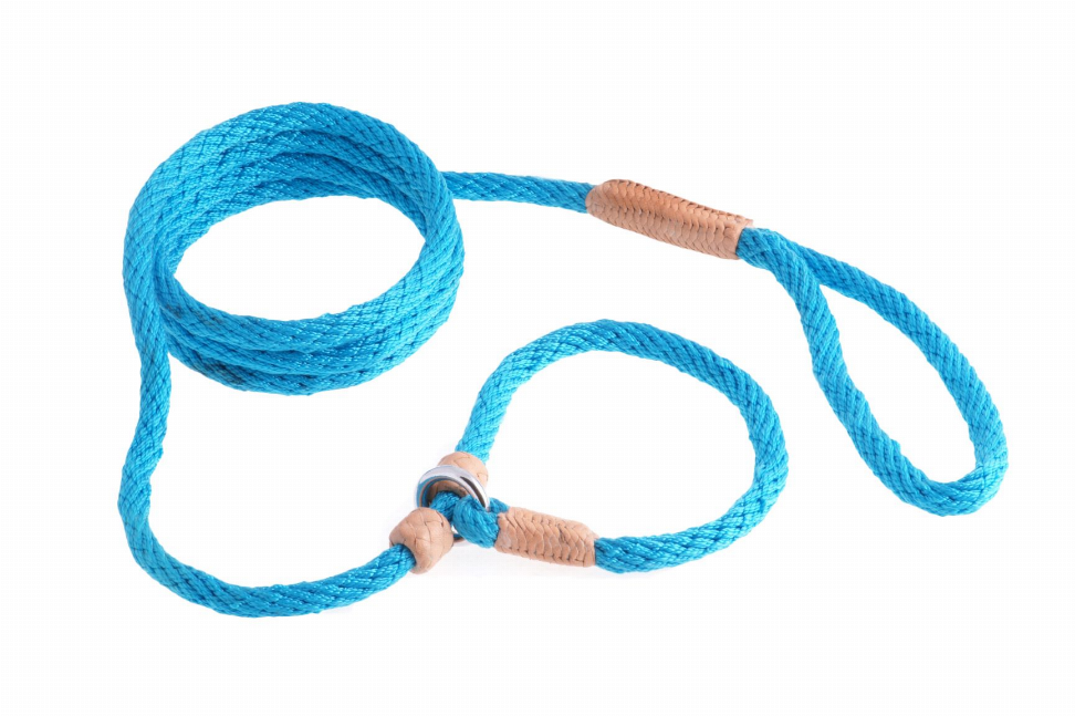 Alvalley Nylon Slip Leash With 2 Stoppers - 6ft  x 5/16in or 8mmTurquoise