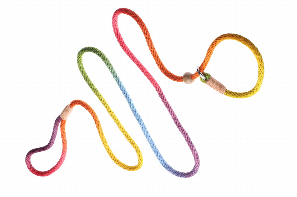 Alvalley Nylon Slip Leash With 2 Stoppers - 6ft  x 5/16in or 8mmRainbow Multicolor