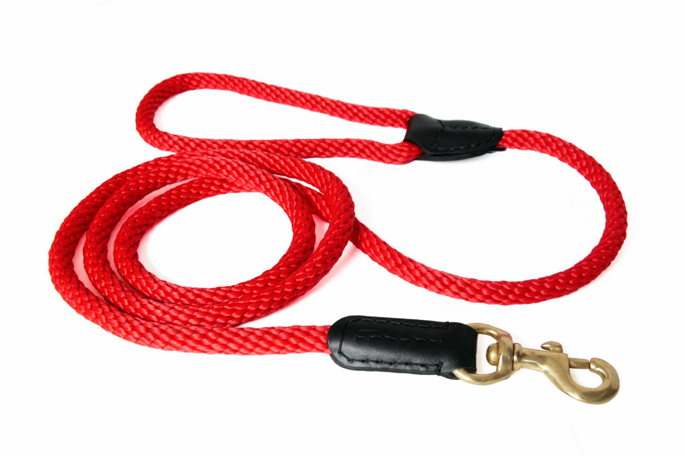 Alvalley Rope and Leather Snap Lead - 4ft x 3/4 inRed  Line