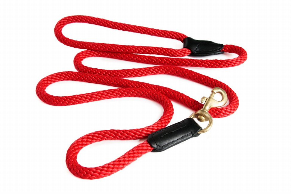 Alvalley Rope and Leather Snap Lead - 6ft x 3/4 inRed  Line