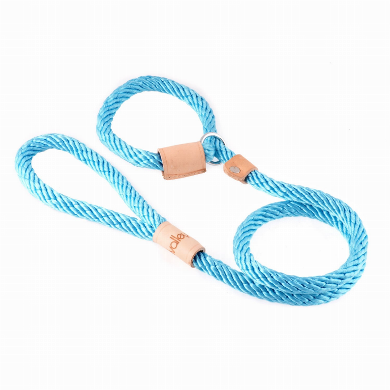 Alvalley Sport Slip Lead With Stopper - 4 ft  x 1/2in or 13mmTurquoise
