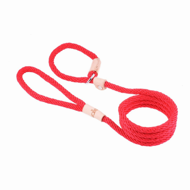 Alvalley Sport Slip Lead With Stopper - 4 ft  x 5/16in or 8mmRed