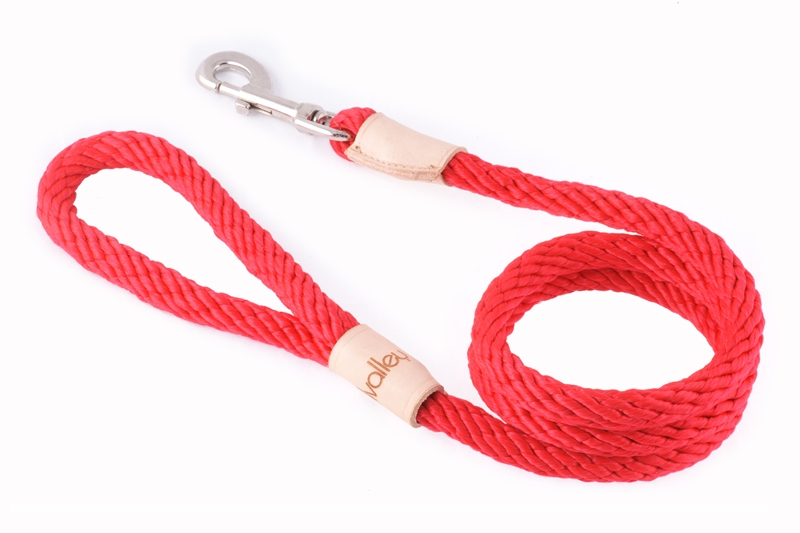 Alvalley Sport Snap Lead - 4 ft  x 1/2in or 13mmRed