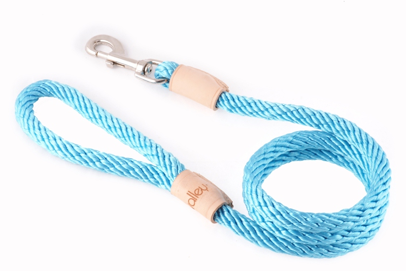 Alvalley Sport Snap Lead - 4 ft  x 1/2in or 13mmTurquoise