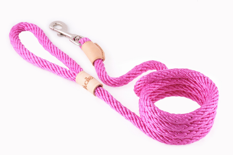 Alvalley Sport Snap Lead - 6 ft  x 1/2in or 13mmHot Pink