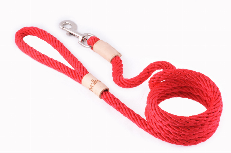 Alvalley Sport Snap Lead - 6 ft  x 1/2in or 13mmRed