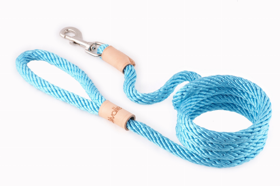 Alvalley Sport Snap Lead - 6 ft  x 1/2in or 13mmTurquoise