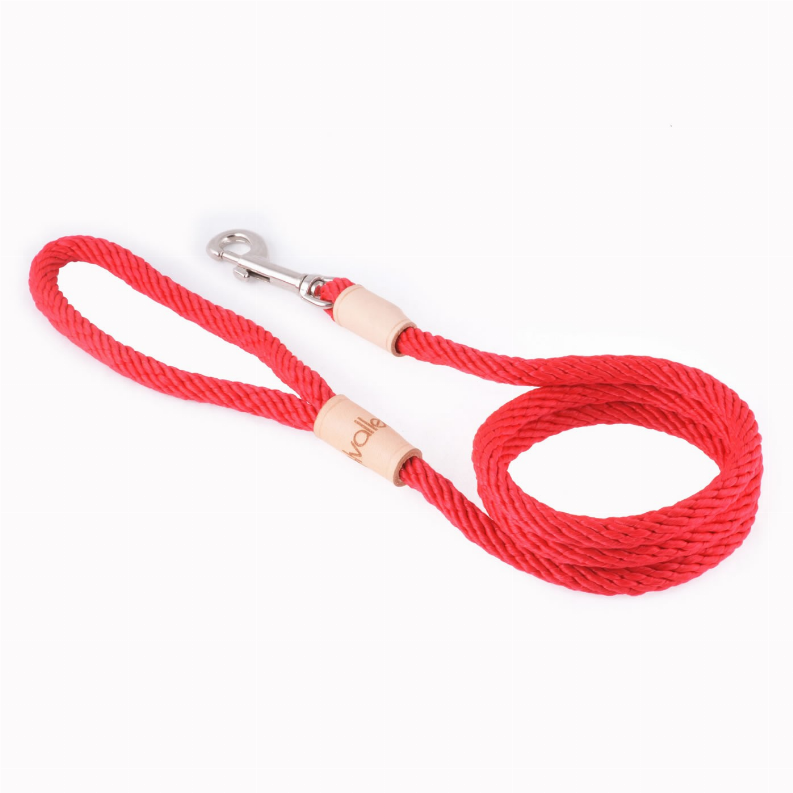 Alvalley Sport Snap Lead - 4 ft  x 5/16in or 8mmRed