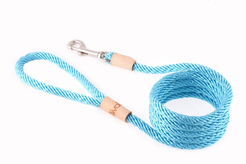Alvalley Sport Snap Lead - 6 ft  x 5/16in or 8mmTurquoise