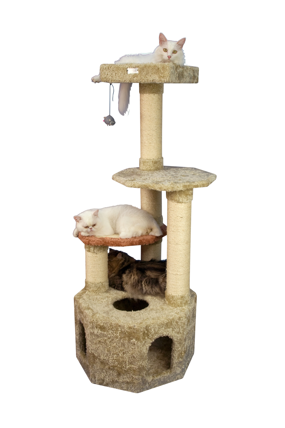 Armarkat X5703 Soft Heavy-Carpet Real Wood Cat Furniture With Condo For Large Cat