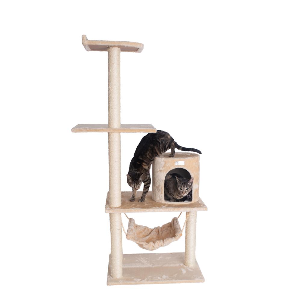 GleePet GP78590221 59-Inch Real Wood Cat Tree In Beige With Hammock and Round Condo