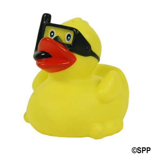 Rubber Duck, Assortment Of 24 Career Ducks