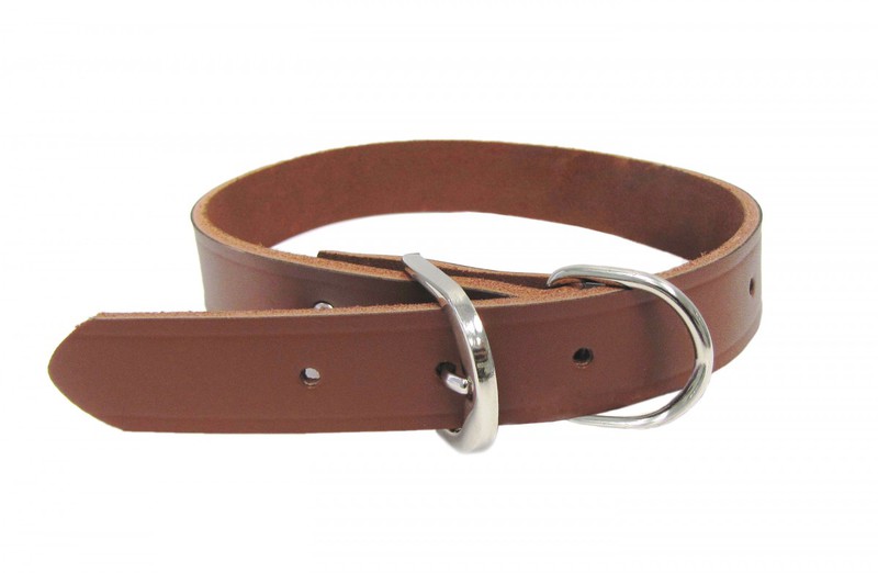 30021 1X21 In. Leather Dog Collar