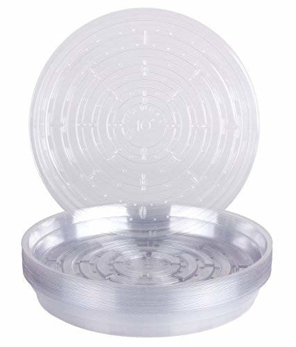 Cw-100N 10 In. Clear Vinyl Saucer