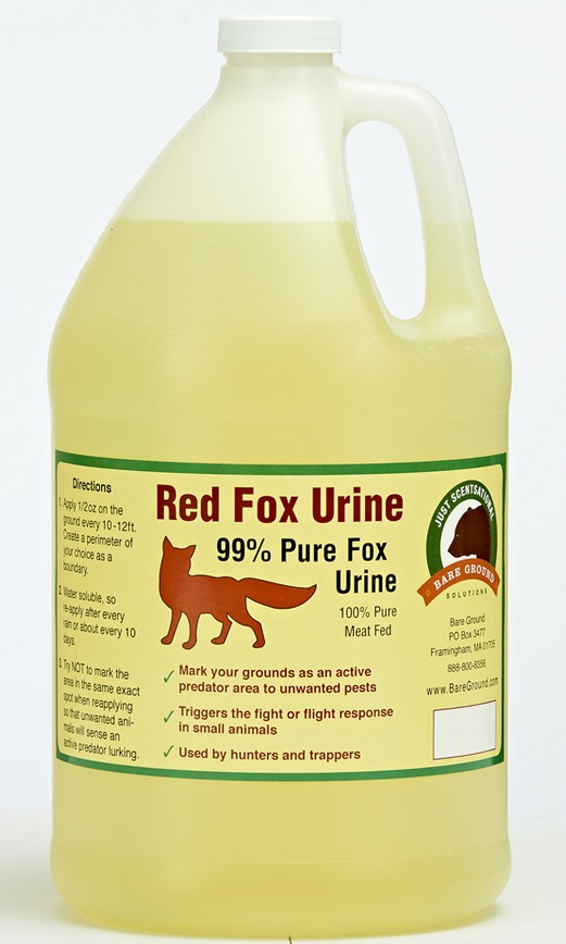 Just Scentsational Fox Urine Predator Scent Gallon