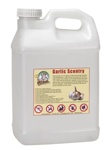 Just Scentsational Garlic Scentry 2.5 Gallon