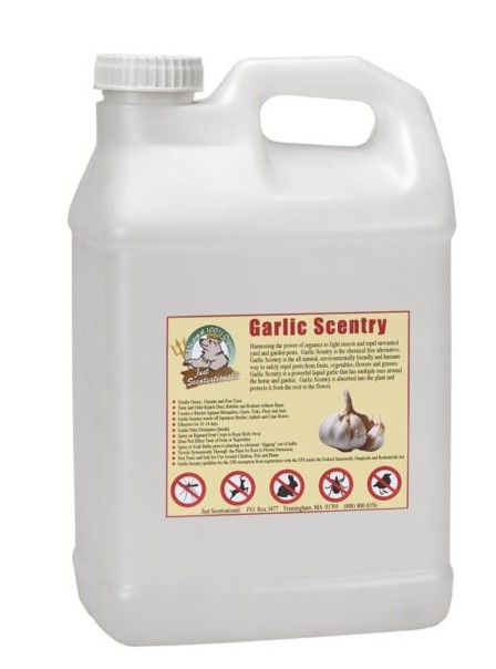 Just Scentsational Garlic Scentry Concentrate 2.5 Gallon