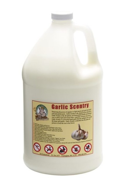 Just Scentsational Garlic Scentry Concentrate One Gallon