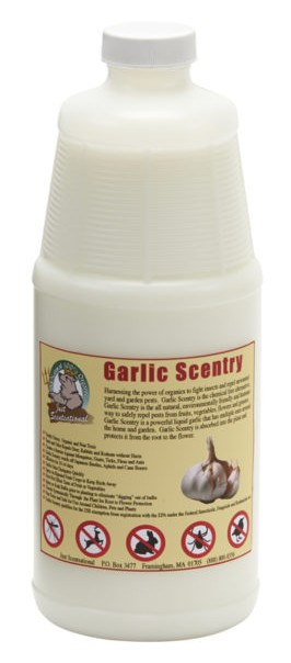 Just Scentsational Garlic Scentry One Quart