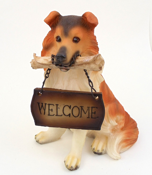 Small Welcome Dog Collie