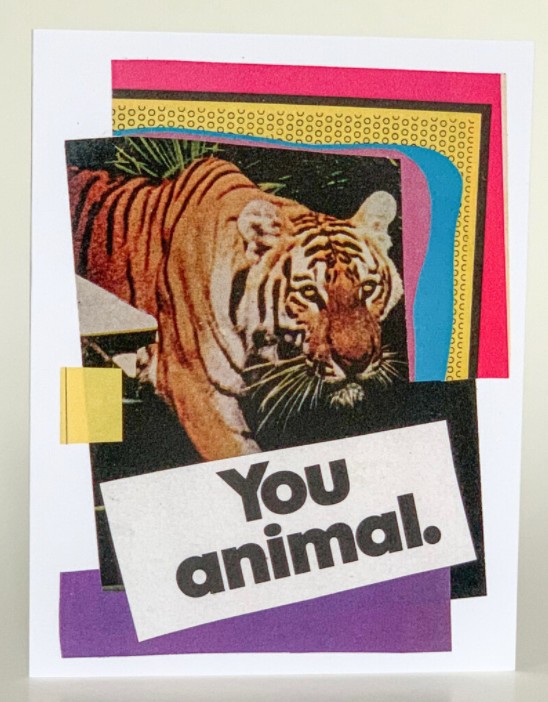 Birthday Greeting Card (Pack of 6) - You Animal