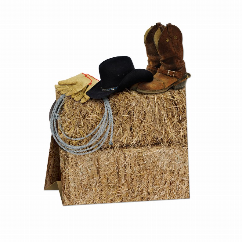 3-D Centerpiece - Multi-Color Western 3-D Western