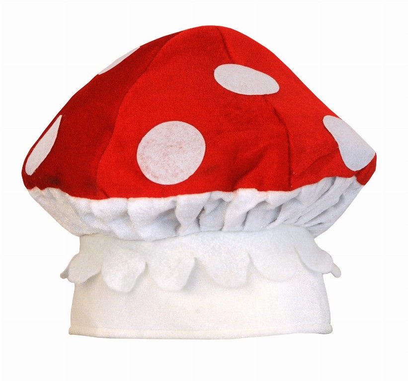 Plush(Multiple Themed Designs Available)   8-Bit Plush Mushroom Hat