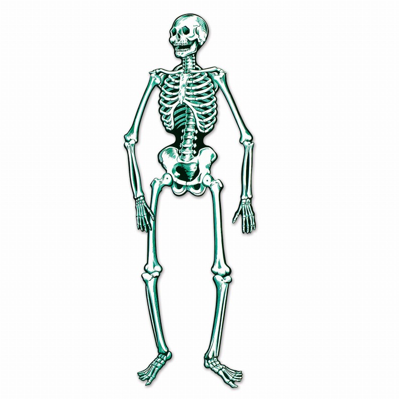Printed Both Sides  - Halloween Jointed Skeleton