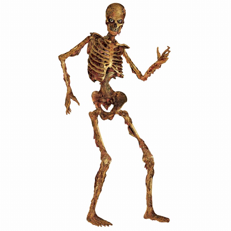 Printed One Side  - Halloween Jointed Skeleton